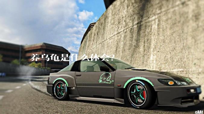 养乌龟是什么体会？