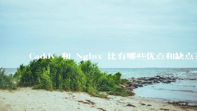 Caddy 和 Nginx 比有哪些优点和缺点？