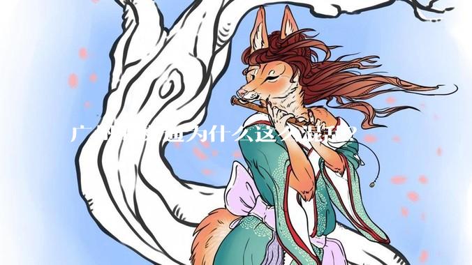 广州的交通为什么这么混乱？