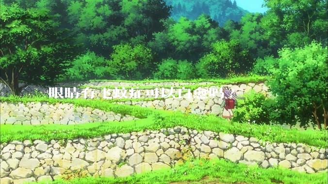 眼睛有飞蚊症可以自愈吗?