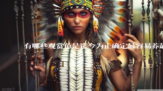 有哪些观赏鱼是迄今为止确定最容易养最不容易死的？