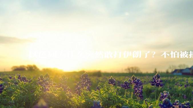 以色列为什么突然敢打伊朗了？不怕被报复？