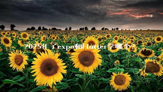 2025年了expo和Flutter学哪个？