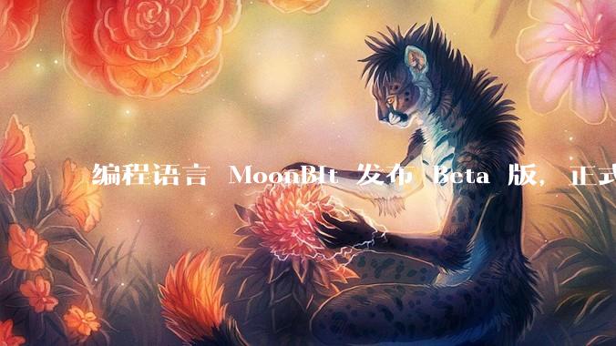 编程语言 MoonBit 发布 Beta 版，正式进入企业场景应用，会带来哪些影响？