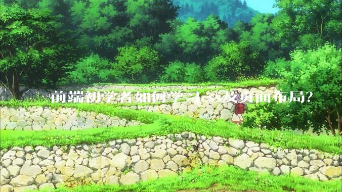 前端初学者如何学习css及页面布局？